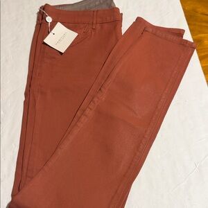Habitual Alice  Rust color textured  Pants